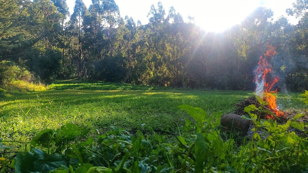 Community Retreats — community program by Heart of Peace